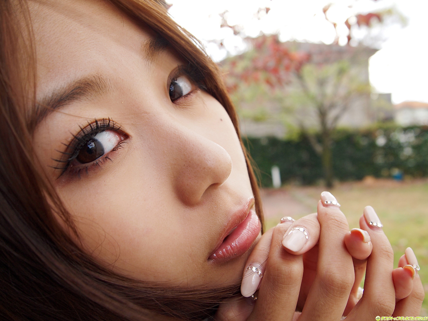 NO.915 西田麻衣 Mai Nishida  DGC套图